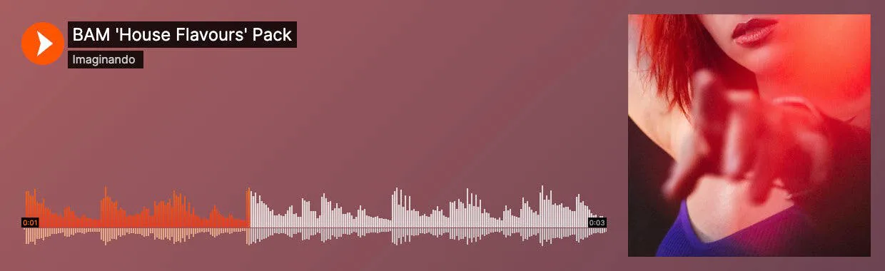 BAM House Flavours Preview on Soundcloud 